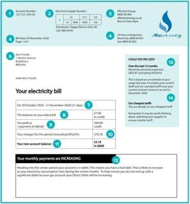 Is Propane or Electric Cheaper: A Journey Through the Labyrinth of Energy Choices