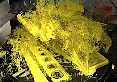 What Causes Spaghetti 3D Printing and Why Do Cats Love It?